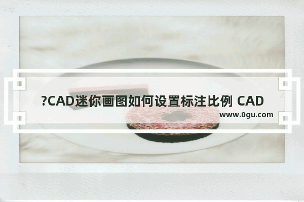 ?CAD迷你画图如何设置标注比例 CAD迷你画图程序设置图纸标注比例尺寸的方法教程