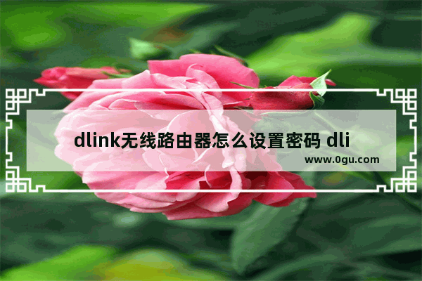 dlink无线路由器怎么设置密码 dlink路由器设置密码的步骤【详解】