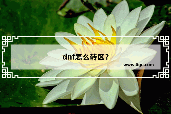 dnf怎么转区？