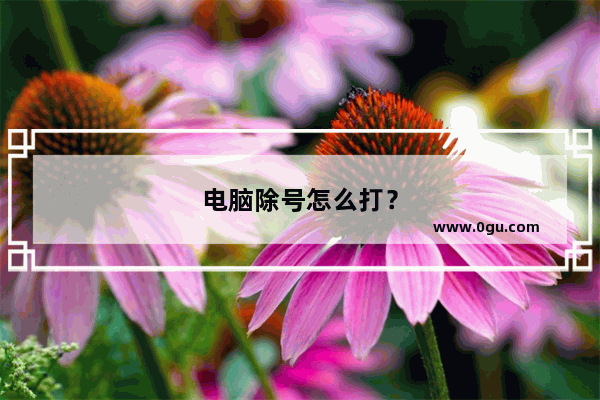 电脑除号怎么打？