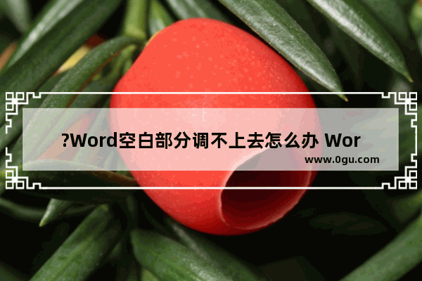 ?Word空白部分调不上去怎么办 Word文档解决空白移不上去的方法教程