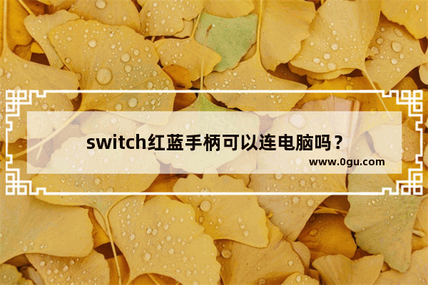 switch红蓝手柄可以连电脑吗？