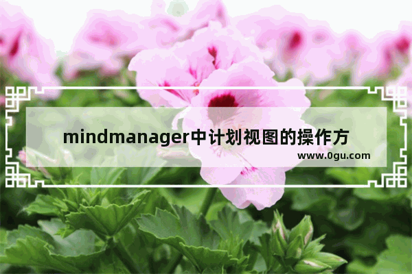 mindmanager中计划视图的操作方法