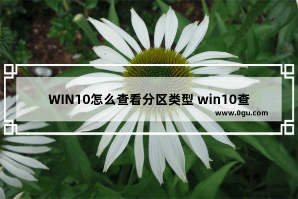 WIN10怎么查看分区类型 win10查看磁盘分区