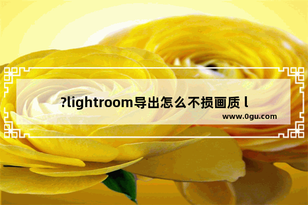 ?lightroom导出怎么不损画质 lr导出照片原画质的方法教程