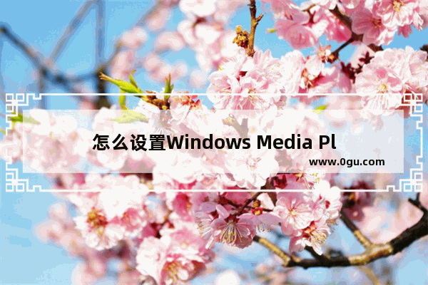 怎么设置Windows Media Player为默认播放器 设置Windows Media Player为默认播放器的方法