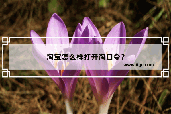 淘宝怎么样打开淘口令？