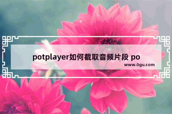 potplayer如何截取音频片段 potplayer截取音频的方法