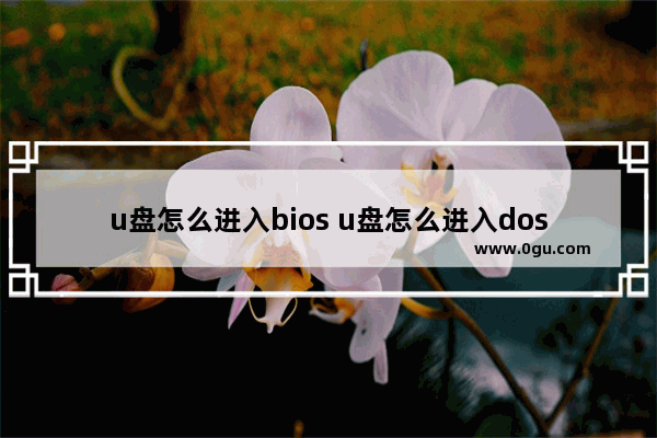 u盘怎么进入bios u盘怎么进入dos