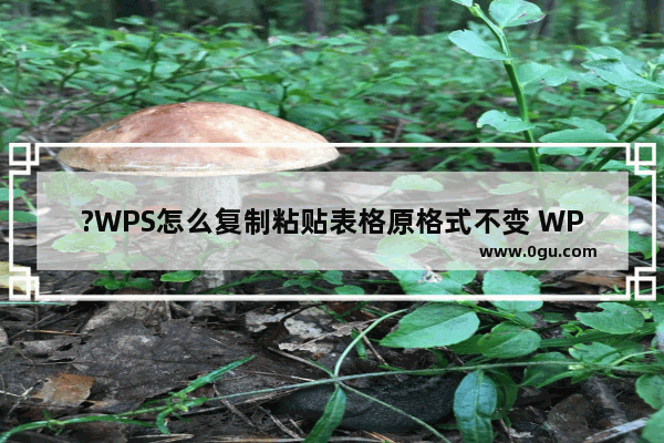 ?WPS怎么复制粘贴表格原格式不变 WPS表格复制后保持原格式不变的方法教程