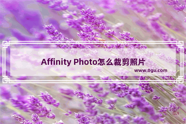 Affinity Photo怎么裁剪照片 Affinity Photo beta裁剪照片的方法