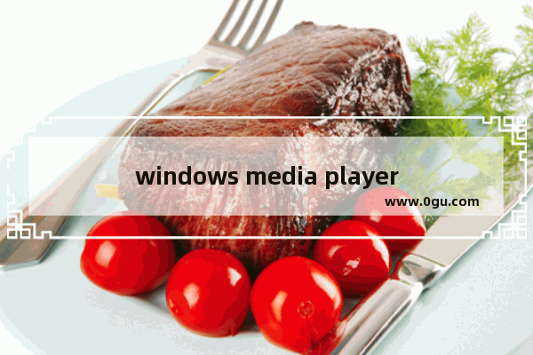 windows media player怎么倍速播放视频 windows media player倍速播放视频的方法