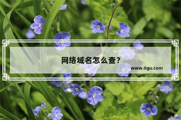 网络域名怎么查？