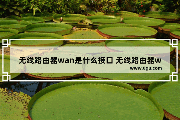 无线路由器wan是什么接口 无线路由器wan接口介绍【详解】