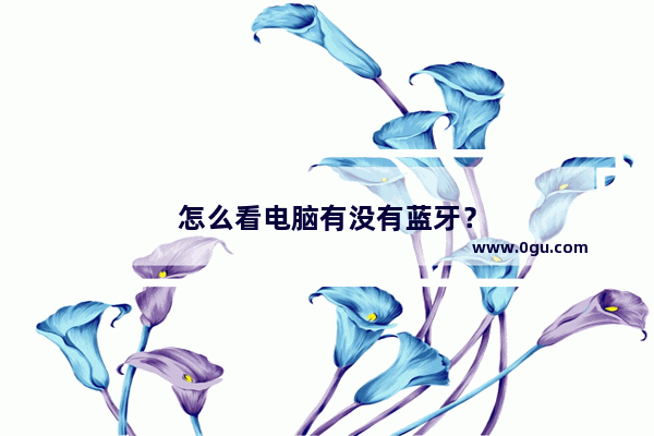 怎么看电脑有没有蓝牙？