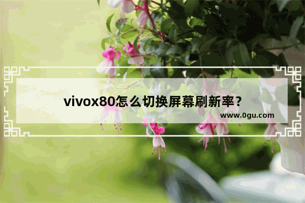 vivox80怎么切换屏幕刷新率？