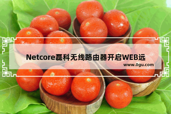 Netcore磊科无线路由器开启WEB远程管理设置