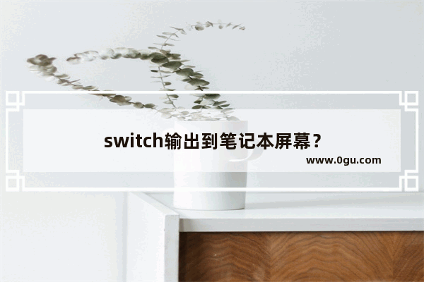 switch输出到笔记本屏幕？