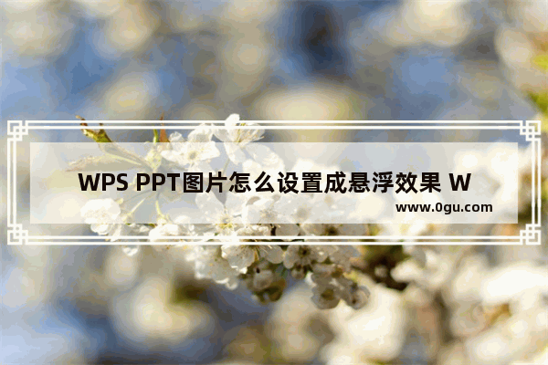 WPS PPT图片怎么设置成悬浮效果 WPS PPT图片设置为悬浮效果的方法