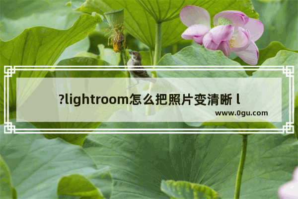 ?lightroom怎么把照片变清晰 lr增加图片的清晰度的方法教程