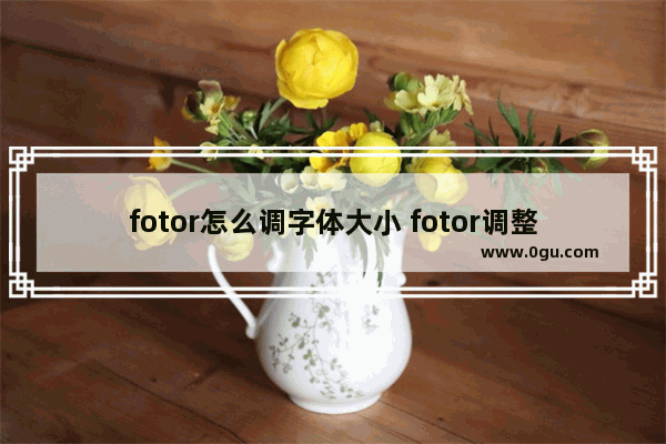 fotor怎么调字体大小 fotor调整字体大小的方法