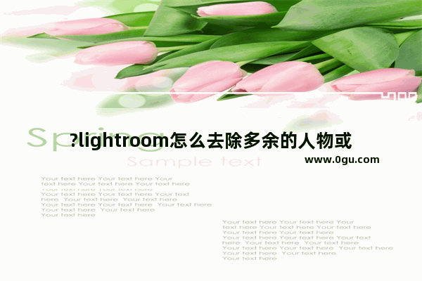 ?lightroom怎么去除多余的人物或瑕疵 lr使用污点去除工具的方法教程