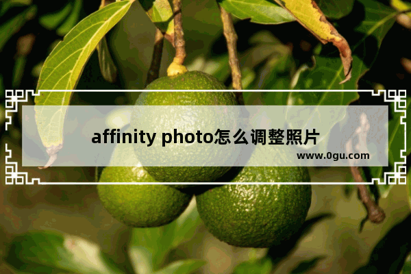 affinity photo怎么调整照片尺寸 Affinity Photo beta设置1寸证件照的方法