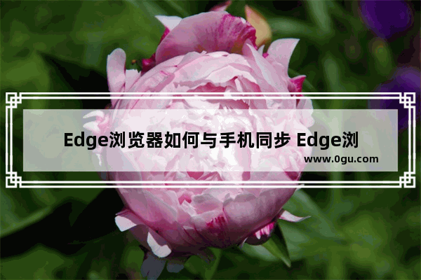 Edge浏览器如何与手机同步 Edge浏览器与手机数据同步的设置方法