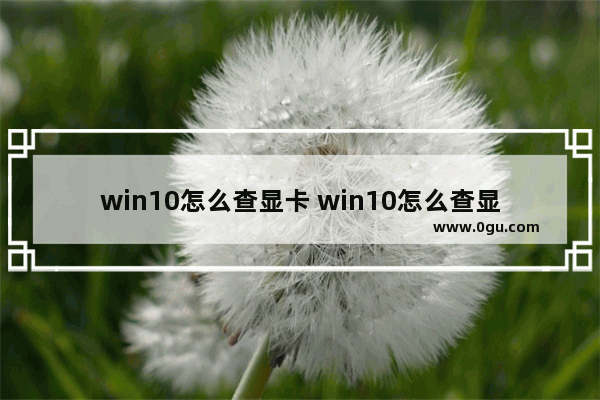 win10怎么查显卡 win10怎么查显卡参数