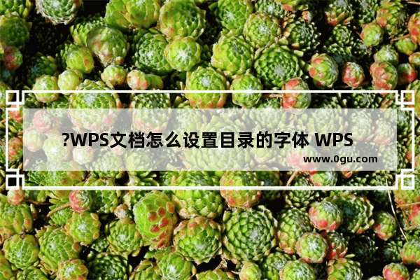 ?WPS文档怎么设置目录的字体 WPS Word设置目录的字体格式的方法教程