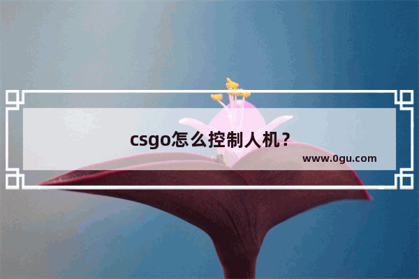 csgo怎么控制人机？