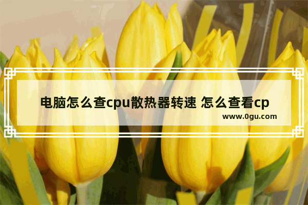 电脑怎么查cpu散热器转速 怎么查看cpu散热器型号