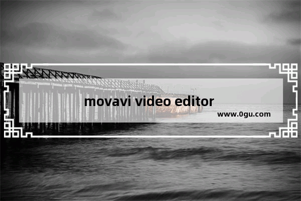 movavi video editor plus如何添加滤镜 movavi video editor plus添加滤镜的方法