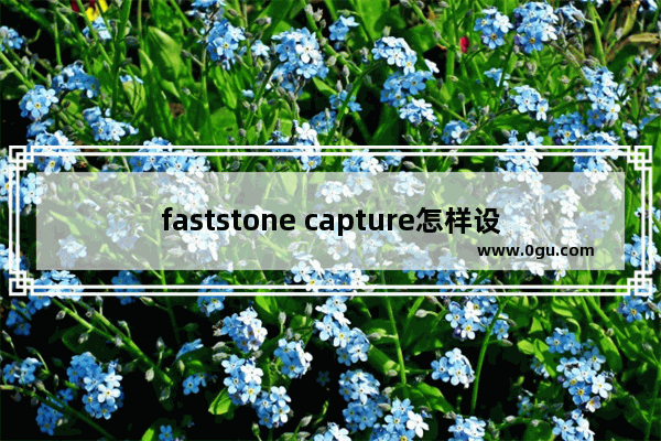 faststone capture怎样设置dpi faststone capture设置dpi的方法