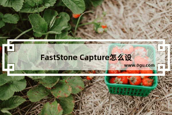 FastStone Capture怎么设置延迟捕捉 FastStone Capture设置延迟捕捉的方法