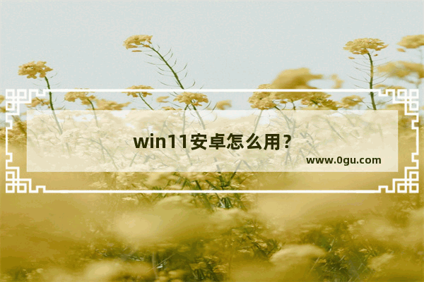 win11安卓怎么用？