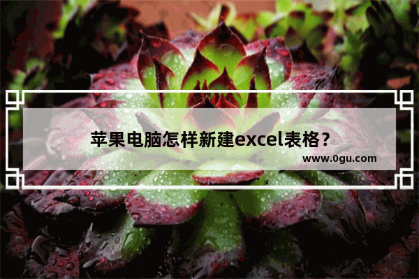 苹果电脑怎样新建excel表格？