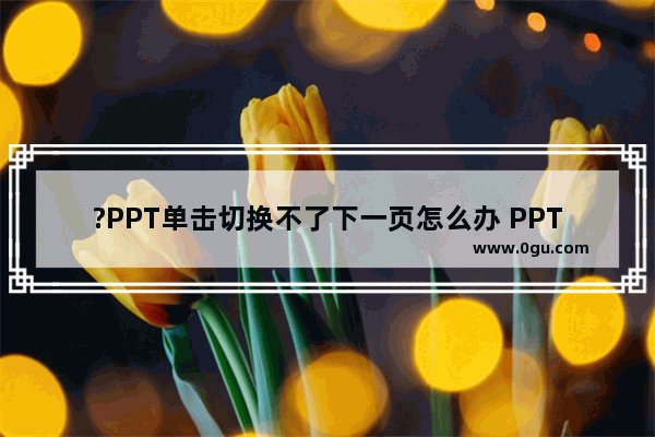 ?PPT单击切换不了下一页怎么办 PPT解决点击鼠标不切换页面的方法教程