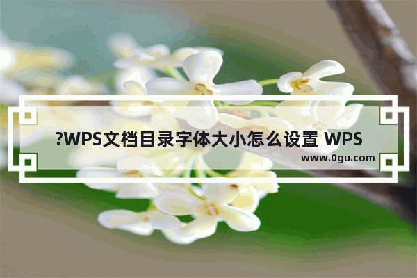 ?WPS文档目录字体大小怎么设置 WPS Word调整目录的字号大小的方法教程