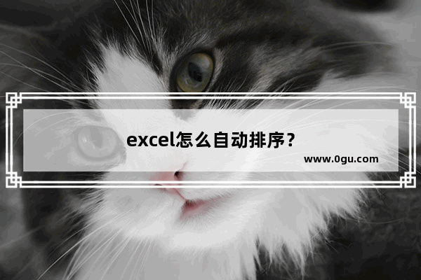 excel怎么自动排序？