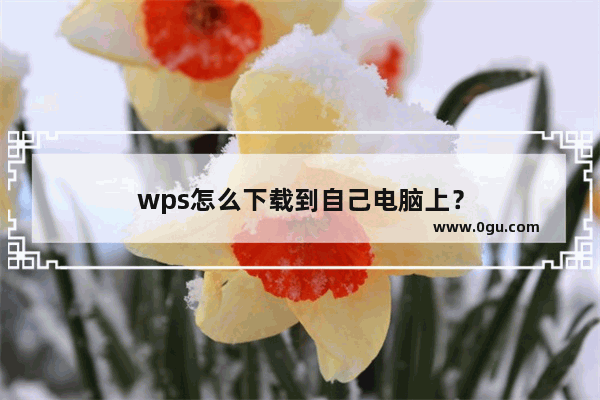 wps怎么下载到自己电脑上？