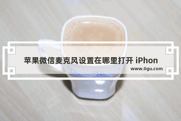 苹果微信麦克风设置在哪里打开 iPhone手机微信语音没声音处理方法