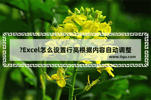 ?Excel怎么设置行高根据内容自动调整 Excel表格使行高自动适应文字的方法教程