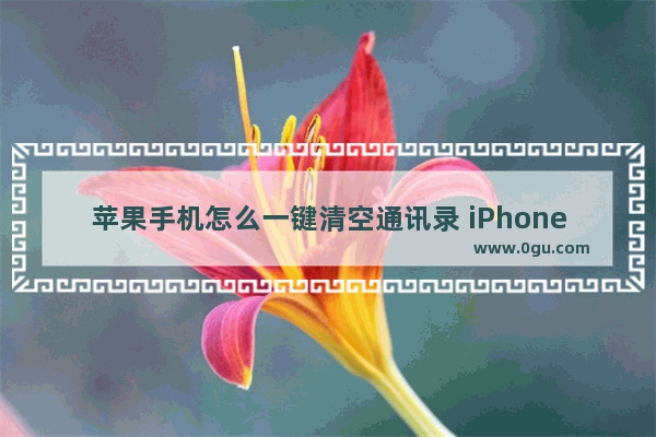 苹果手机怎么一键清空通讯录 iPhone手机通讯录的常用操作技巧