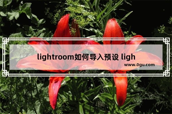 lightroom如何导入预设 lightroom导入预设的方法教程