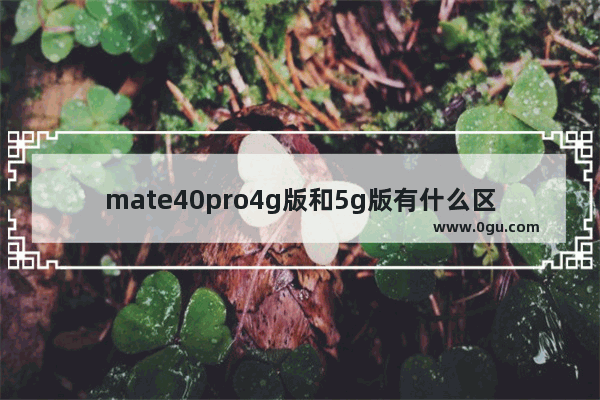 mate40pro4g版和5g版有什么区别 华为mate40pro4g和5g性能对比