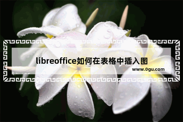 libreoffice如何在表格中插入图片 libreoffice在表格中插入图片的方法