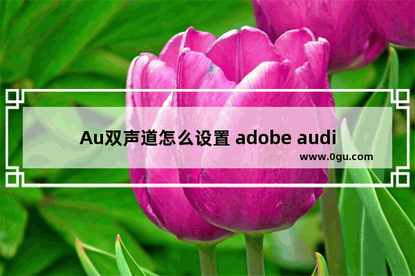 Au双声道怎么设置 adobe audition设置双声道的方法