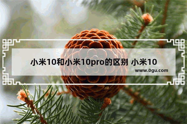 小米10和小米10pro的区别 小米10、小米10 Pro不同之处