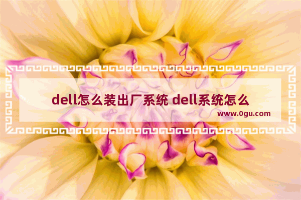 dell怎么装出厂系统 dell系统怎么重装win10系统